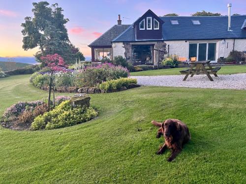 a dog laying in the grass in front of a house at Stunning Barn Conversion in Dunlop