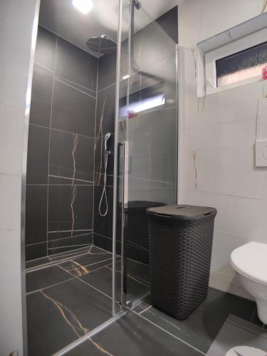 a shower with a glass door in a bathroom at Elements Apartments & Renata in Božičany