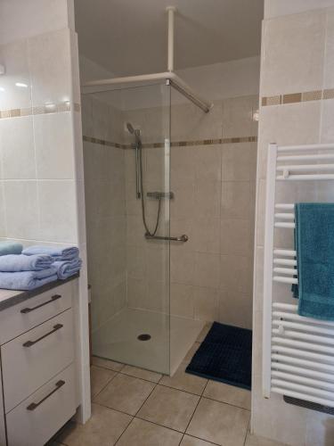 une douche avec une porte vitrée dans une salle de bain dans l'établissement Appartement 2 P calme, à Cagnes-sur-Mer