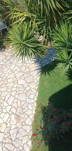 Jardín al aire libre en ZOGRAFOS SPIROS Rooms