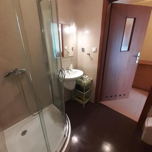 a bathroom with a shower and a sink at Zagajnik in Dębki