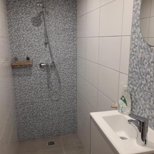 une salle de bain avec douche et lavabo dans l'établissement Charming small house close to Uzès, à Foissac