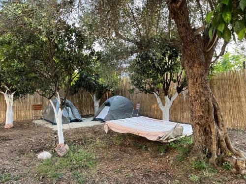 a group of tents sitting under trees next to a fence at Himara Hostel in Himare