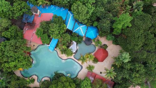 an aerial view of a lake in a forest at Aayush Resort in Kālundri