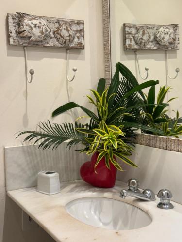 a bathroom sink with a potted plant on it at Pousada Casa do Bicho Preguiça in Angra dos Reis