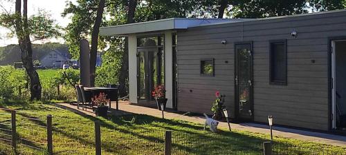 a small cabin with a cat standing in the yard at Casa Kwispel - Hondvriendelijk, luxe, natuur, omheinde tuin in Haarle