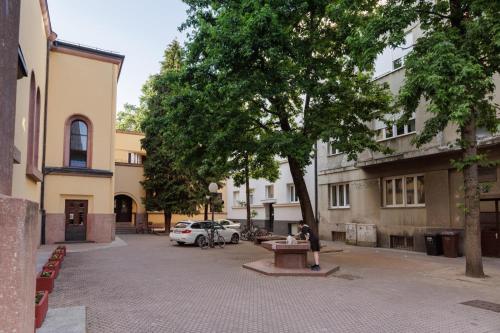 Vlaška Noir