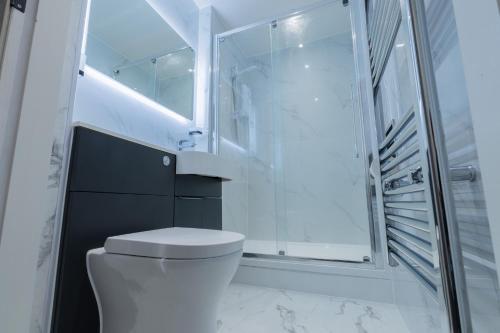 a bathroom with a toilet and a walk in shower at Unit 1 Bright & Classy 1-BDR Flat, Fast Wi-Fi, Free Parking, Intimate Location in Sheffield