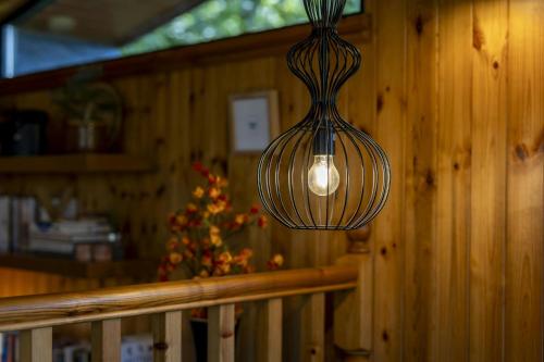 a light fixture hanging from a wooden wall at Woodside Lodge Cenarth in Cenarth
