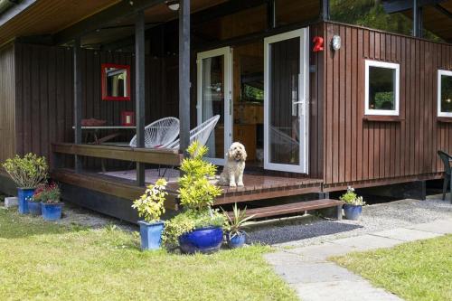a dog sitting on the porch of a house at Woodside Lodge Cenarth in Cenarth