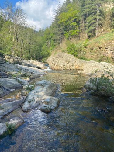 a stream of water with rocks in a river at La Cigale Ardéchoise in Labégude