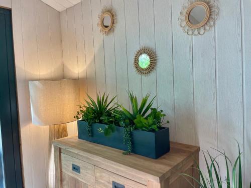 a room with two potted plants on a table at Chalet Style Indonésien in Gouvieux