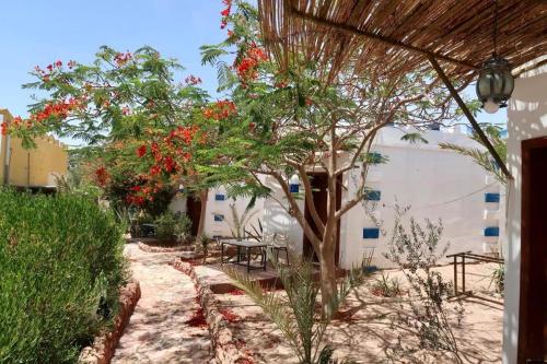 Fotografie z fotogalerie ubytování Nemo Dive Center AQABA JORDAN v destinaci Aqaba