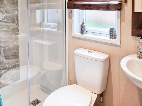 a bathroom with a toilet and a shower and a sink at Glen Clova in Forfar