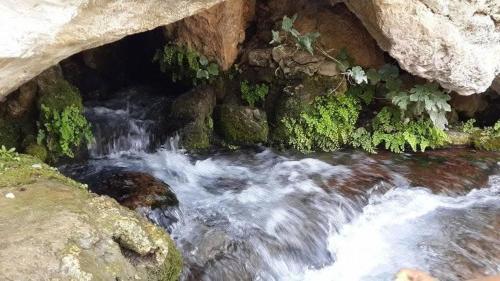Příroda nedaleko apartmánu