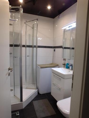 a bathroom with a shower and a toilet and a sink at Let's RelaxX 2-Rooms in Mülheim an der Ruhr