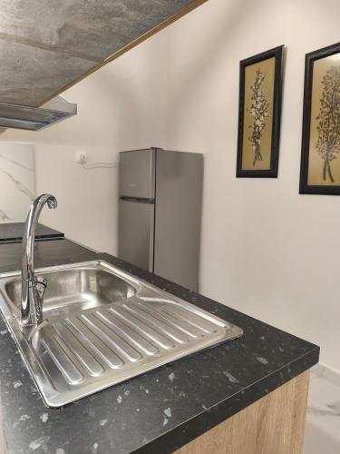 a kitchen with a sink and a refrigerator at LUX Central in Alexandroupoli