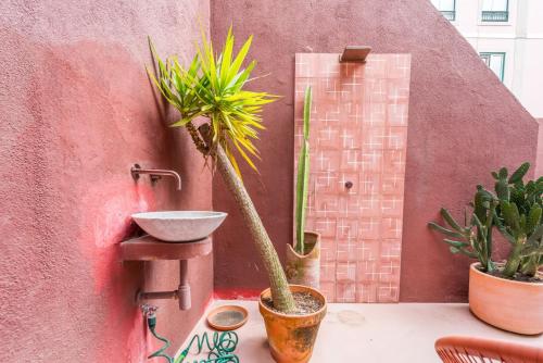 Cozy 1BR with Private Terrace Praça das flores | By Airnest