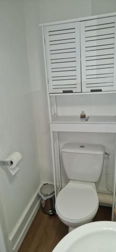 a white bathroom with a toilet and a roll of toilet paper at Le 105 BIS in Vichy
