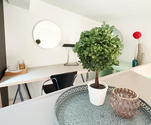 - une table à manger avec une plante en pot dans l'établissement La Suite aquitaine, à Bordeaux