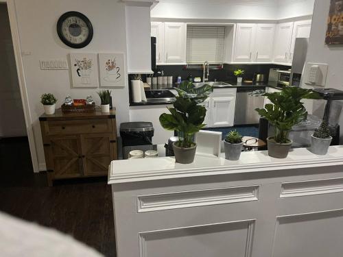 a kitchen with potted plants on top of a counter at Houston Getaway | 6BR |Pool| Wi-Fi| Sleep 16|Pool in Houston