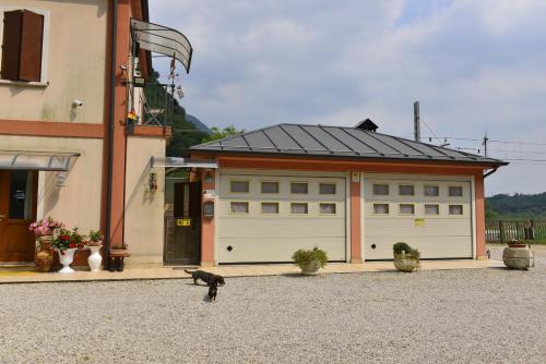a dog standing in front of a garage at Incantevole appartamento in riva al Piave in Quero