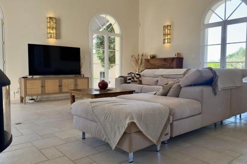 un salon avec des canapés et une télévision à écran plat dans l'établissement Les Lauriers Roses air-conditioned villa with garden and swimming pool, à Saumane-de-Vaucluse