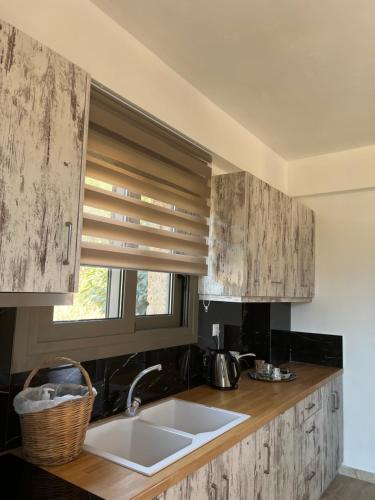 a kitchen counter with a sink and a window at Konstantina 4 in Ambelókipoi