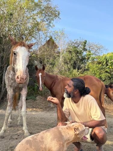 a man and a dog next to a horse at Leopardbay Cabanas Arugambay in Arugam Bay