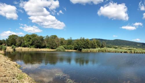 a view of a lake with clouds in the sky at Le Repaire in Cormaranche-en-Bugey