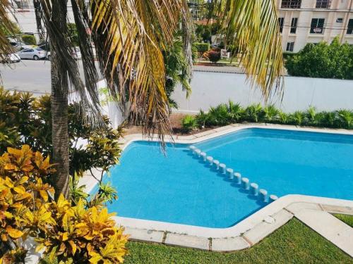 an overhead view of a swimming pool with a palm tree at Comfortable studio with pool in the best location in Cancún