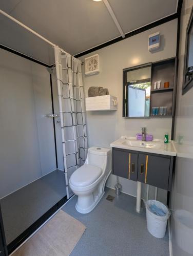 a bathroom with a toilet and a sink and a shower at Big Woods Retreat in Miramonte