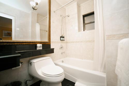 a bathroom with a toilet and a tub and a sink at Hotel Stanford in New York