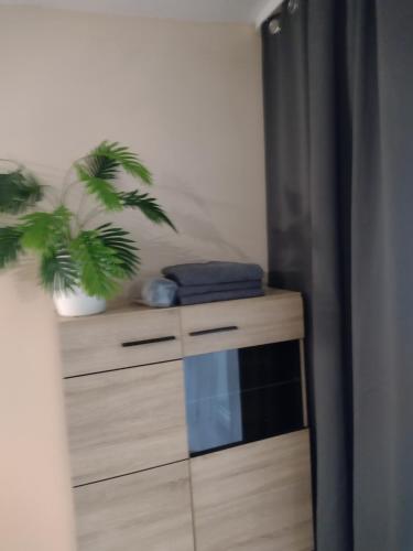 a wooden dresser with a plant on top of it at Positive energy 2 in Sulejów