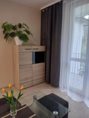 a living room with a cabinet and a window at Positive energy 2 in Sulejów