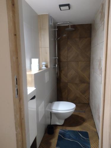a small bathroom with a toilet and a shower at Positive energy 2 in Sulejów