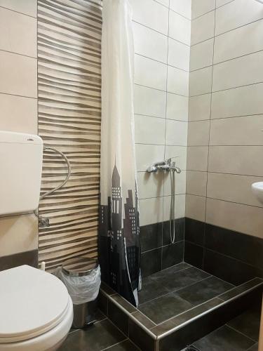 a bathroom with a toilet and a shower with a building sticker at Seagull House Thassos island in Skala Kallirachis