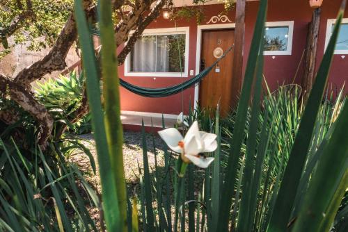 a plant with a flower in front of a house at Pousada Sertão in Alto Paraíso de Goiás