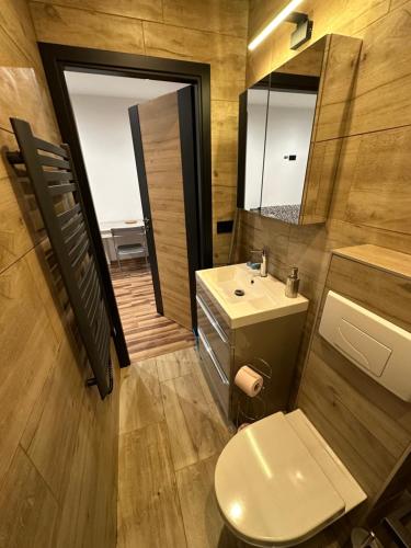 a bathroom with a toilet and a sink and a mirror at Le fayet in La Celle-sous-Gouzon