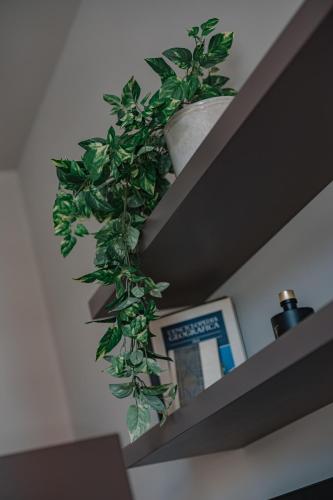 Floris & Silva Apartments photo 86