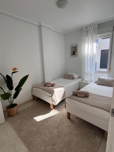 Ideal modern pool apartment CLR