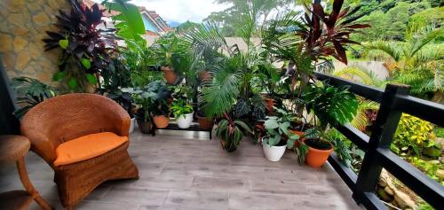 a balcony with a bunch of potted plants and a chair at Casa Honey in Bajo Boquete