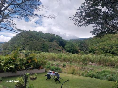 a picnic table in a garden with a view of a mountain at Casa Honey in Bajo Boquete