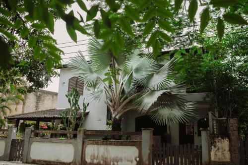 a palm tree in front of a white house at Casa da Coruja in Rio de Janeiro