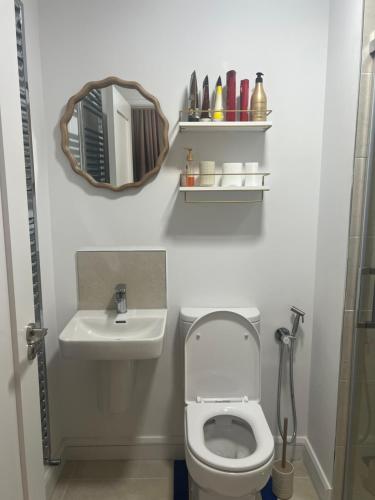 a bathroom with a toilet and a sink and a mirror at Stylish SuperKing and King Ensuite Bedrooms in Dublin in Dublin