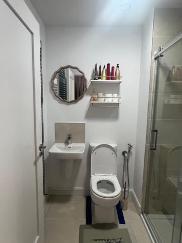 Stylish SuperKing and King Ensuite Bedrooms in Dublinにあるバスルーム