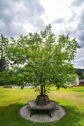a tree sitting in the middle of a park at Landhaus Flasch in Wagrain