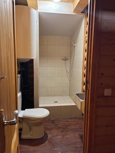 a small bathroom with a toilet and a shower at Котеджі Віват in Oryavchyk