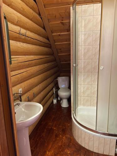 a bathroom with a toilet and a sink and a shower at Котеджі Віват in Oryavchyk