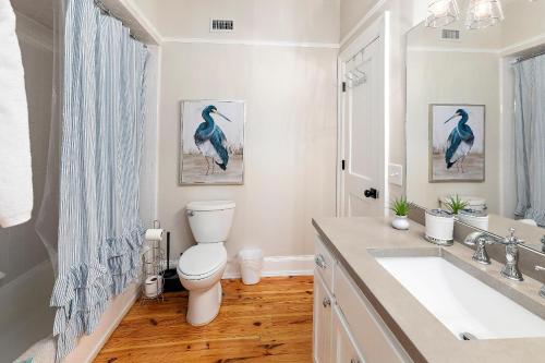 un bagno con un water bianco e un lavandino di Magnolia Cottage a Saint Simons Island